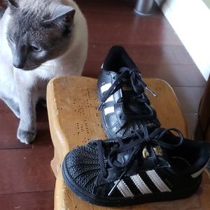 toddler Adidas shoes